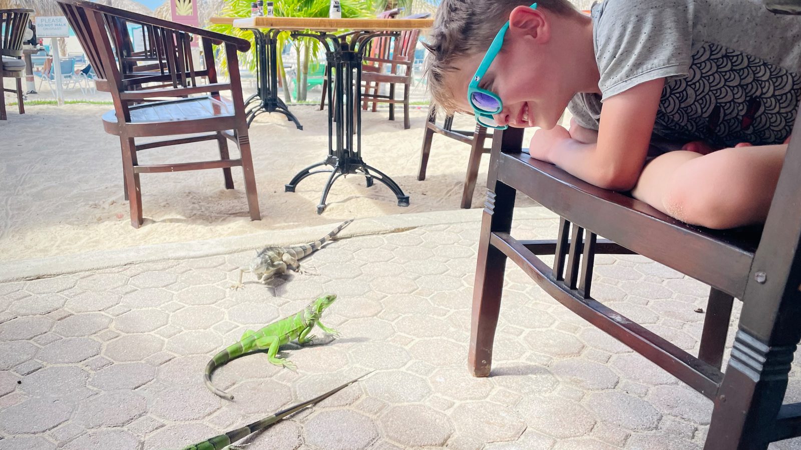 Our First Caribbean Cruise