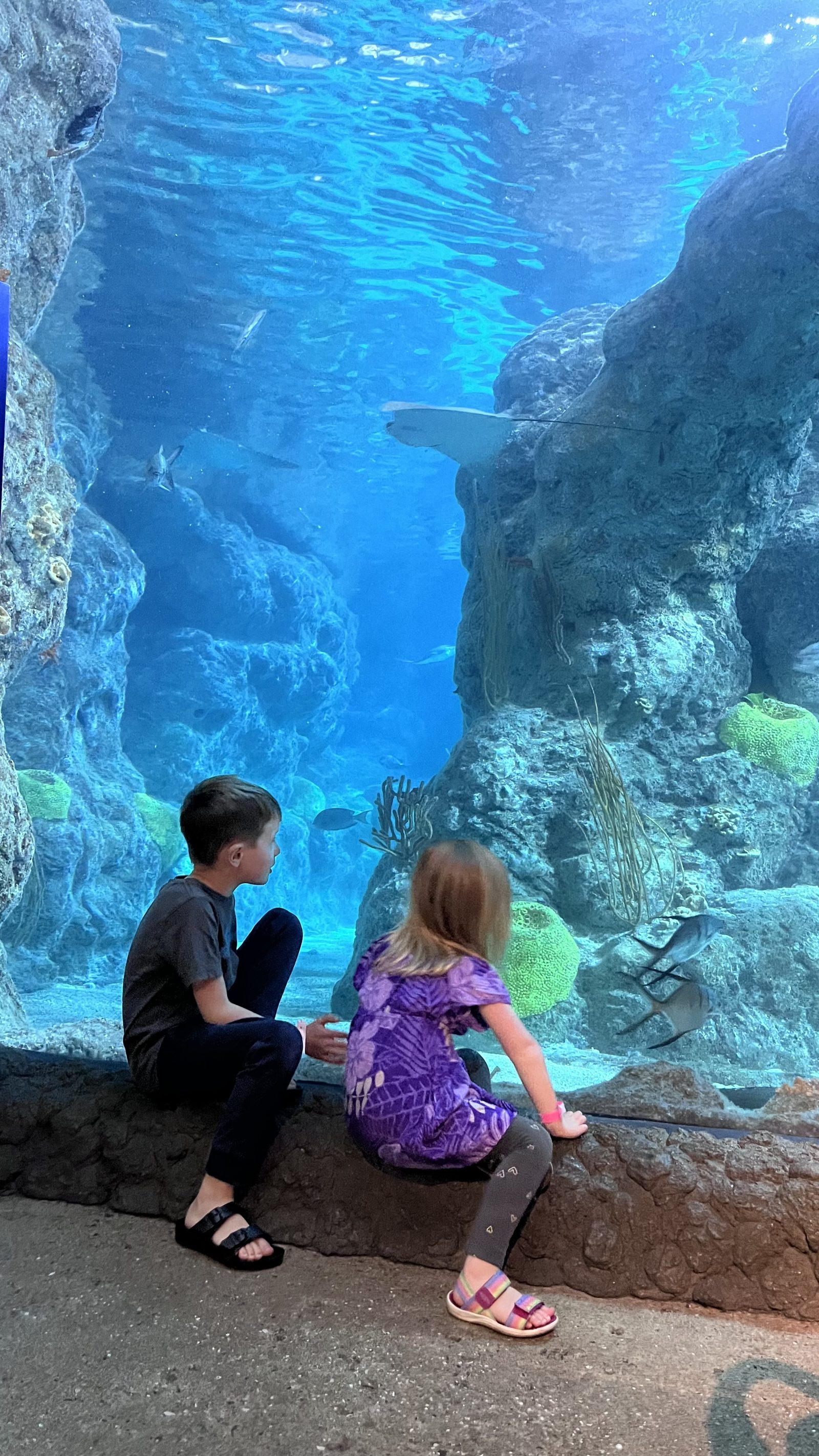 Aquarium visit