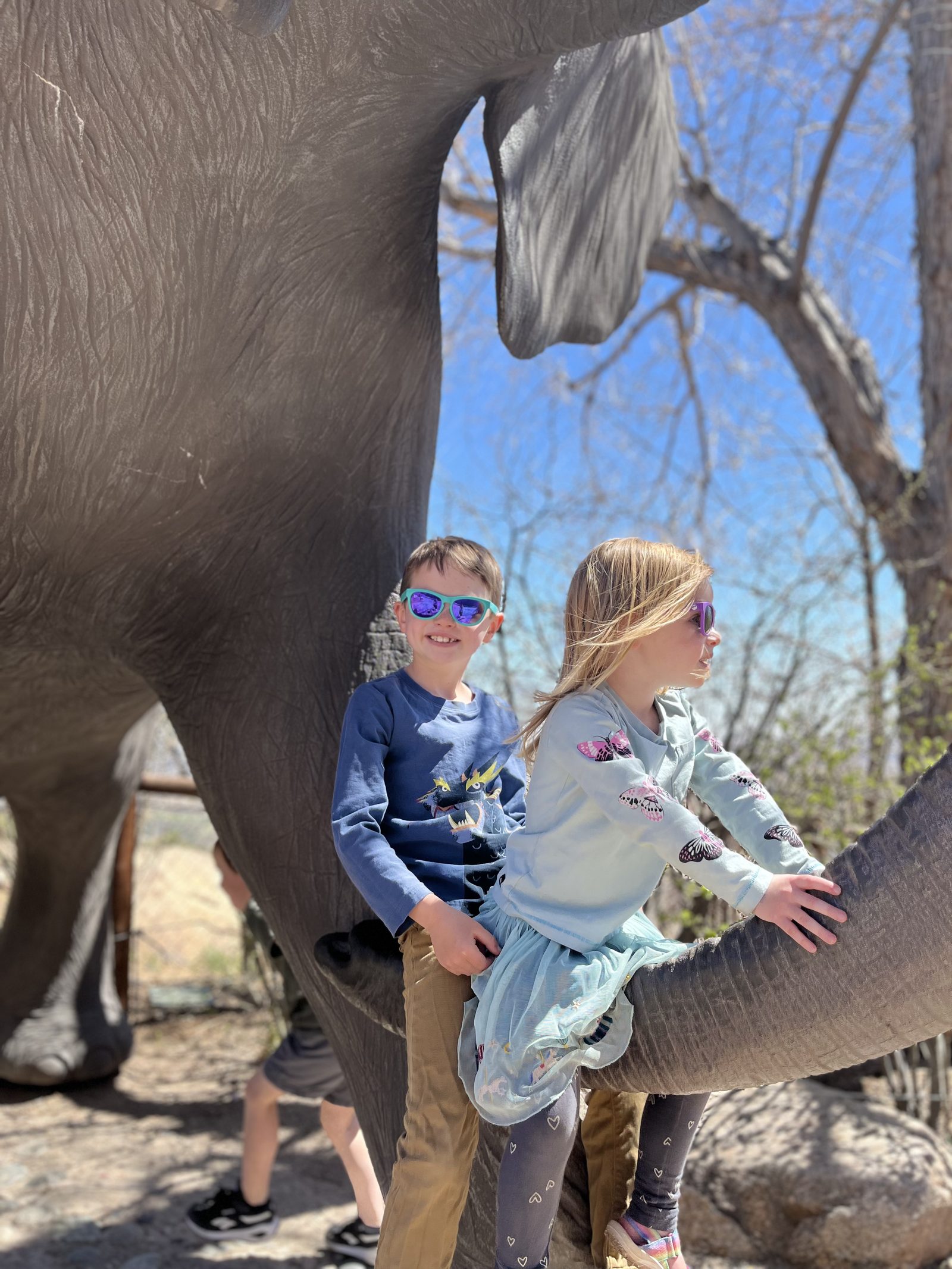 Cheyenne Mountain Zoo