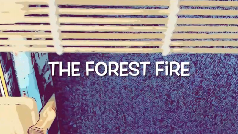 The Forest Fire