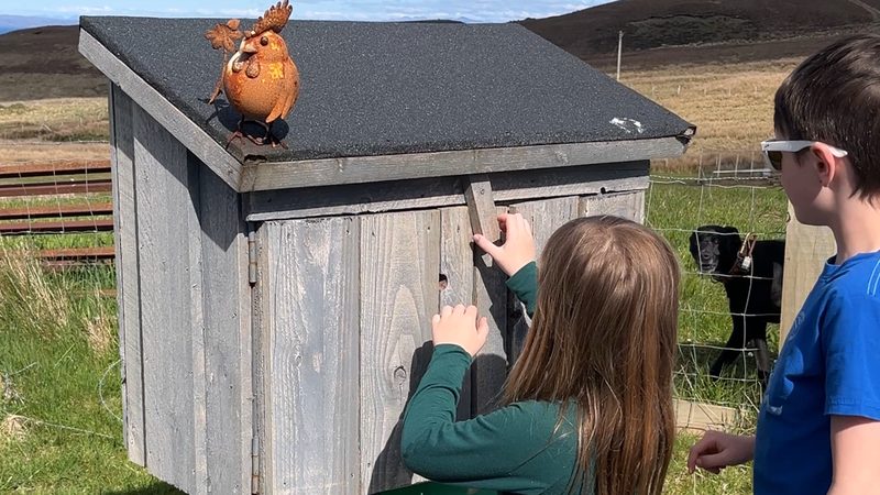 A roadside honesty box in the Scottish countryside