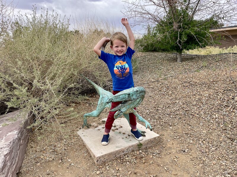 Petrified Forest National Park
